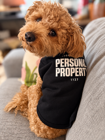 Dog wearing the black Personal Property shirt